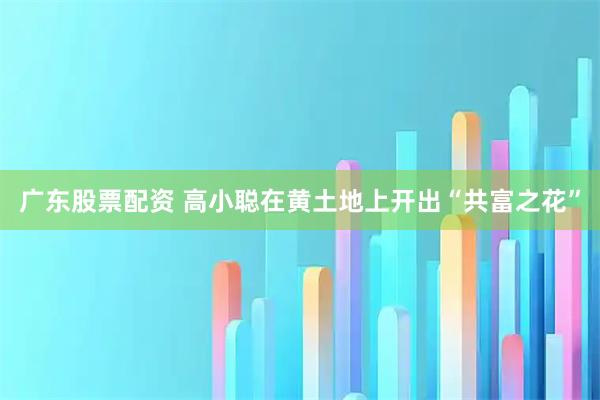 广东股票配资 高小聪在黄土地上开出“共富之花”